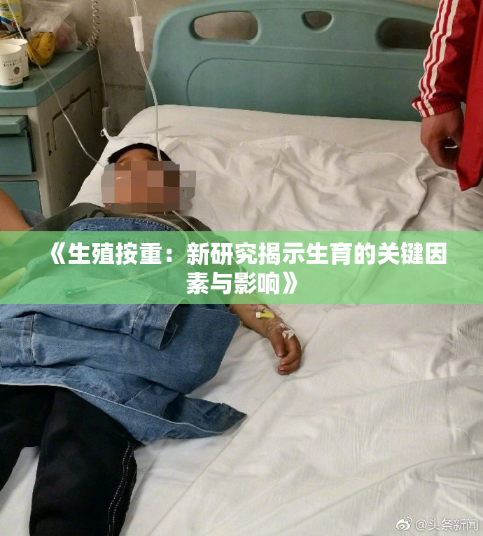 《生殖按重：新研究揭示生育的关键因素与影响》