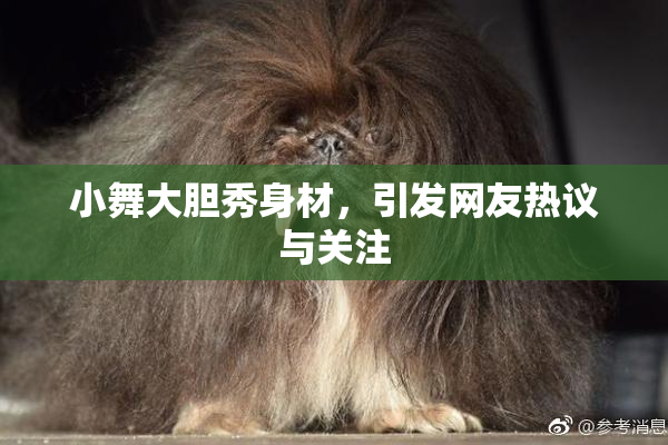 小舞大胆秀身材，引发网友热议与关注