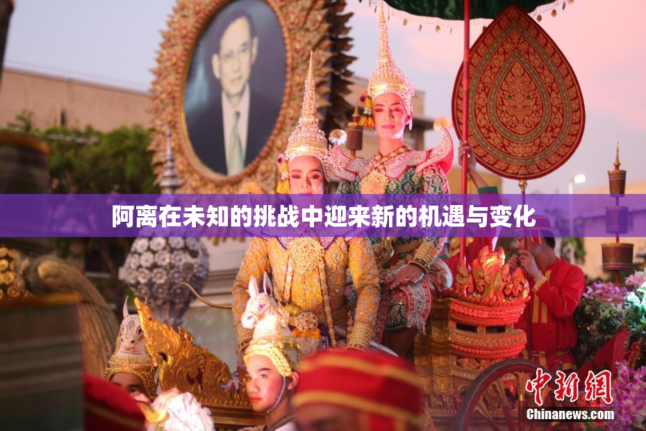阿离在未知的挑战中迎来新的机遇与变化