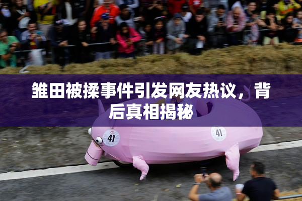 雏田被揉事件引发网友热议，背后真相揭秘