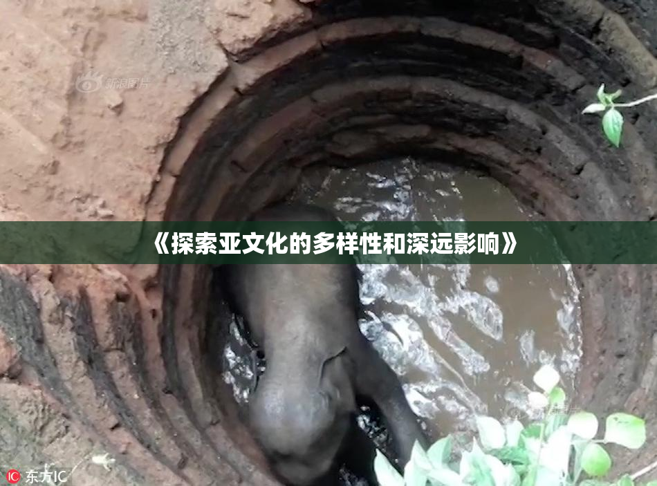 《探索亚文化的多样性和深远影响》