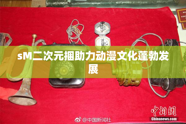 sM二次元捆助力动漫文化蓬勃发展