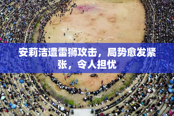 安莉洁遭雷狮攻击，局势愈发紧张，令人担忧