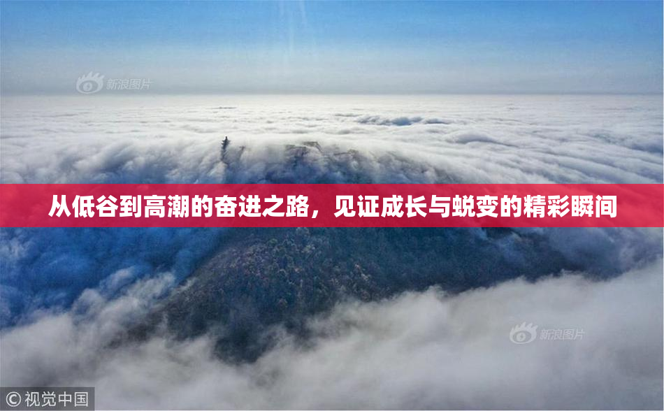 从低谷到高潮的奋进之路，见证成长与蜕变的精彩瞬间