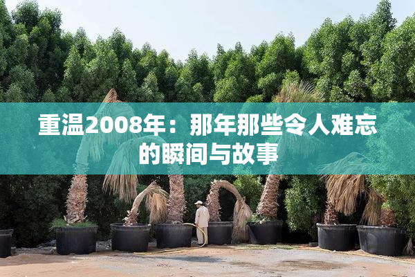 重温2008年：那年那些令人难忘的瞬间与故事