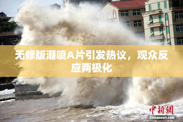 无修版潮喷A片引发热议，观众反应两极化