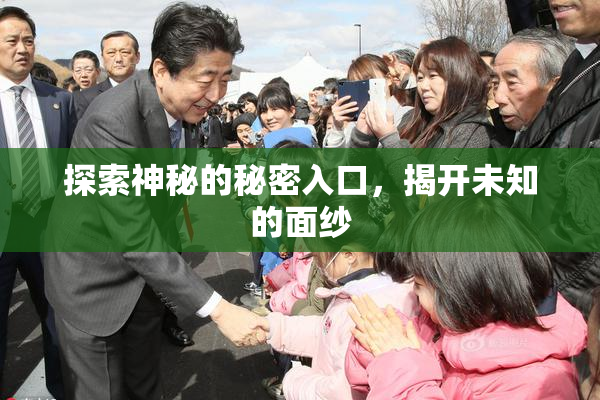 探索神秘的秘密入口，揭开未知的面纱