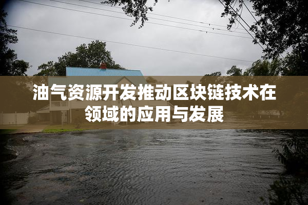 油气资源开发推动区块链技术在领域的应用与发展