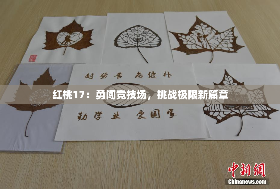 红桃17：勇闯竞技场，挑战极限新篇章