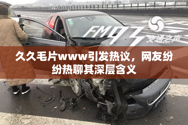 久久毛片www引发热议，网友纷纷热聊其深层含义