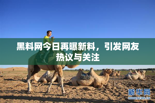 黑料网今日再曝新料，引发网友热议与关注