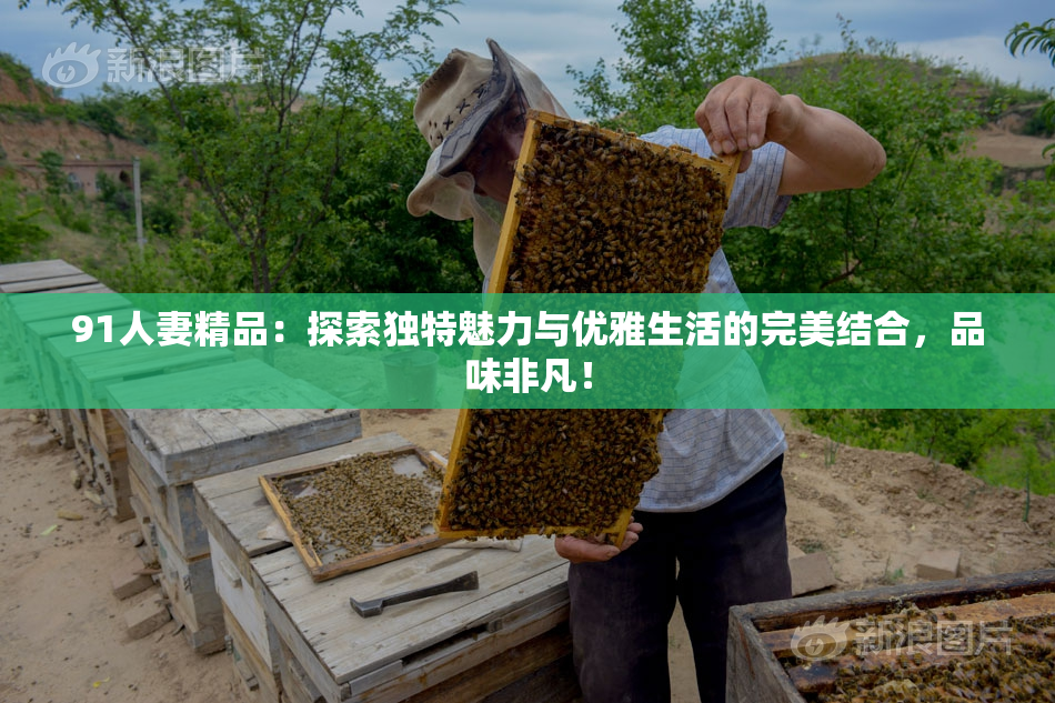 91人妻精品：探索独特魅力与优雅生活的完美结合，品味非凡！
