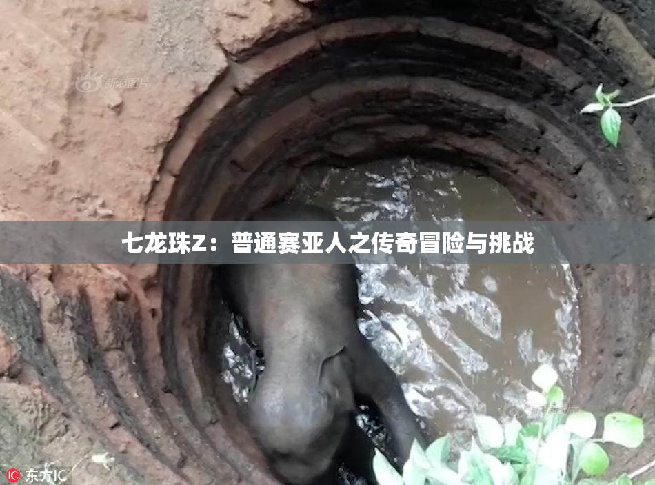 七龙珠Z：普通赛亚人之传奇冒险与挑战