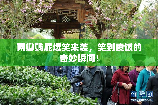 两瓣贱屁爆笑来袭，笑到喷饭的奇妙瞬间！