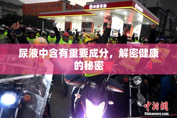 尿液中含有重要成分，解密健康的秘密