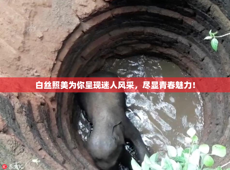 白丝照美为你呈现迷人风采，尽显青春魅力！