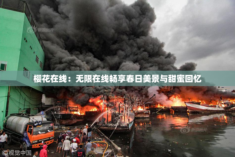 樱花在线：无限在线畅享春日美景与甜蜜回忆
