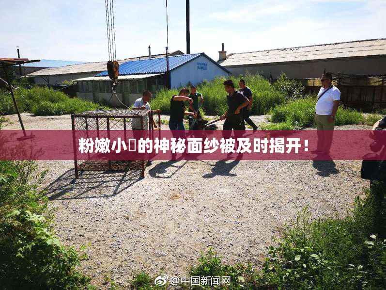 粉嫩小泬的神秘面纱被及时揭开！