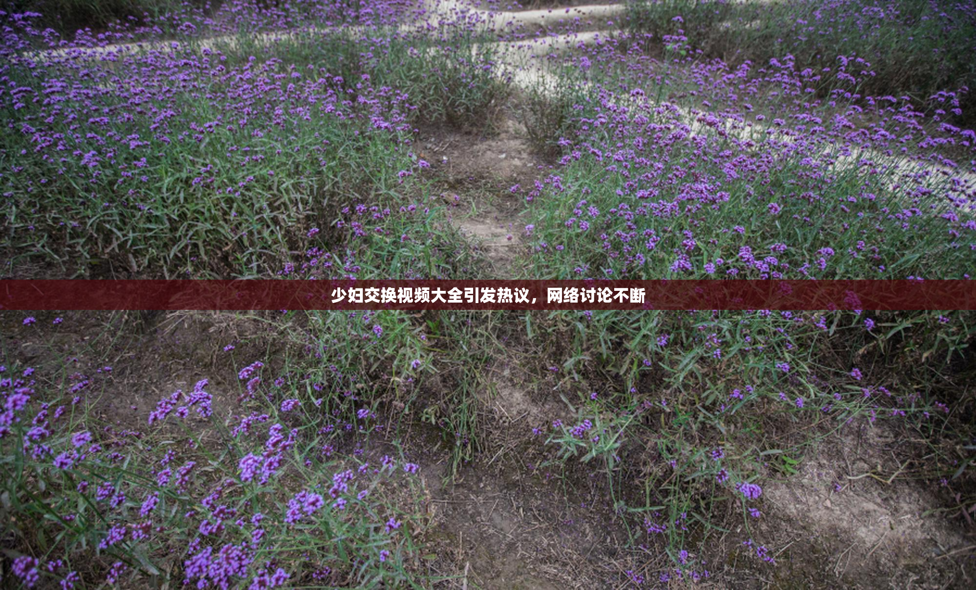 少妇交换视频大全引发热议，网络讨论不断