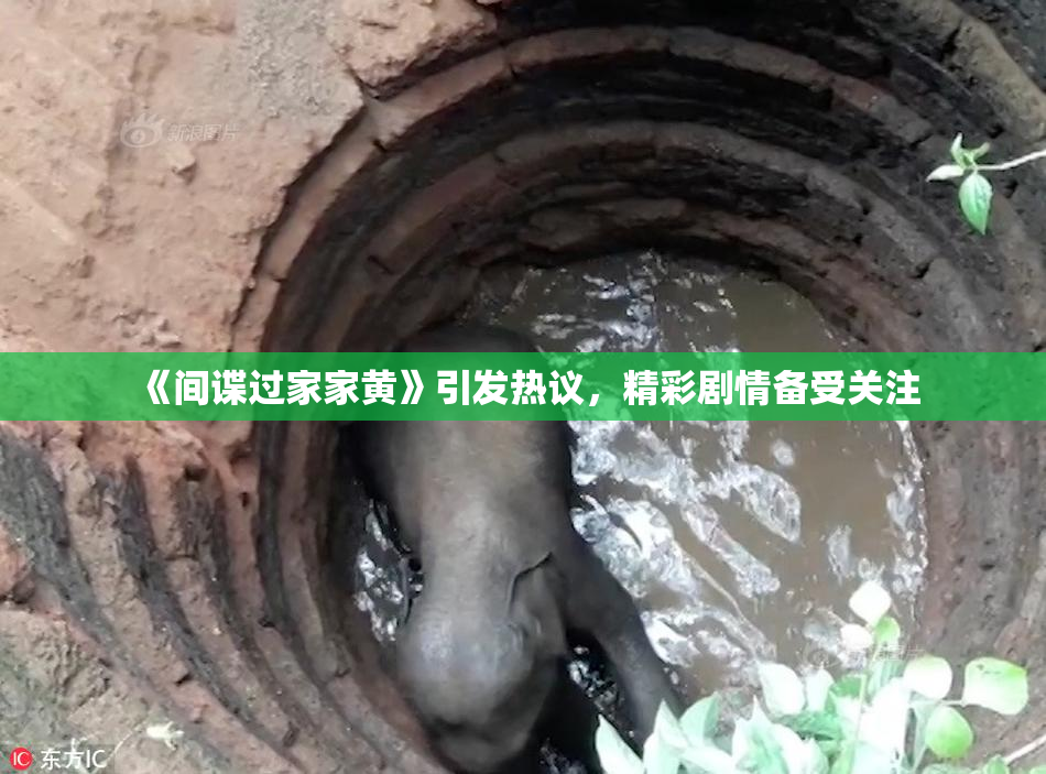 《间谍过家家黄》引发热议，精彩剧情备受关注