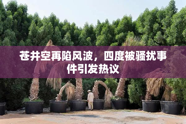 苍井空再陷风波，四度被骚扰事件引发热议