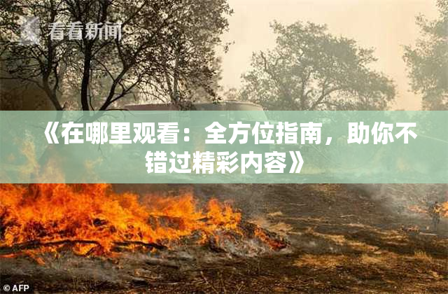 《在哪里观看：全方位指南，助你不错过精彩内容》