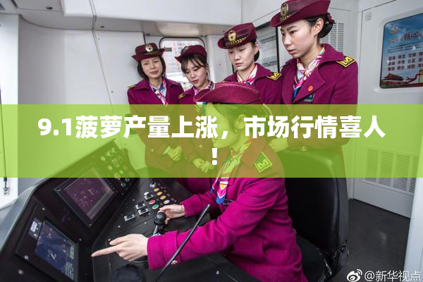 9.1菠萝产量上涨，市场行情喜人！