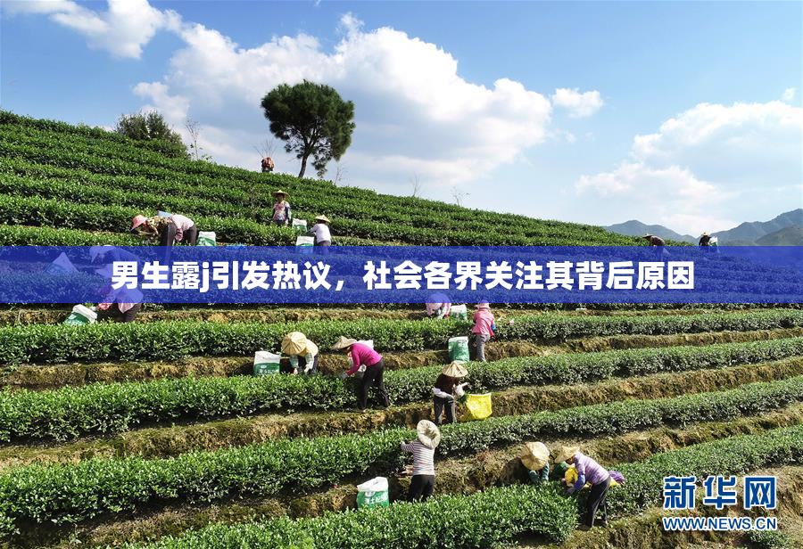 男生露j引发热议，社会各界关注其背后原因