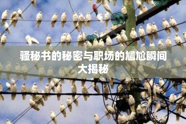 骚秘书的秘密与职场的尴尬瞬间大揭秘