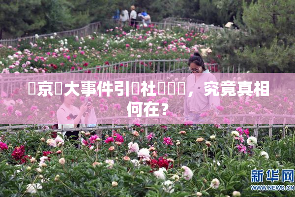 東京熱大事件引發社會熱議，究竟真相何在？