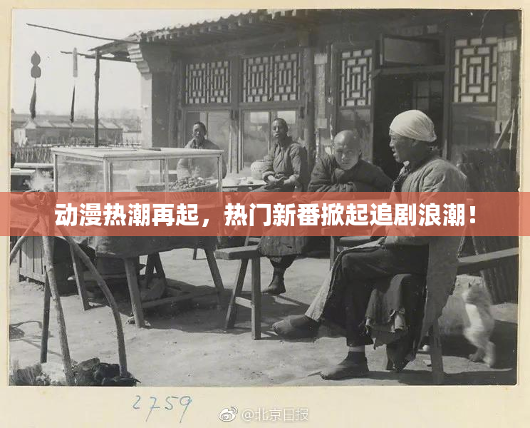 动漫热潮再起，热门新番掀起追剧浪潮！
