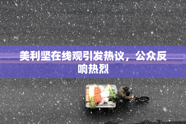 美利坚在线观引发热议，公众反响热烈