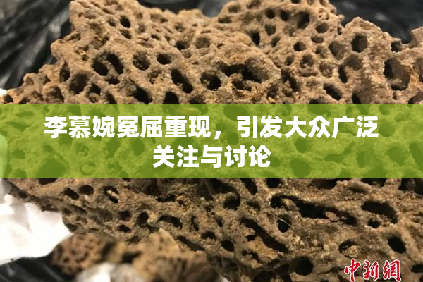 李慕婉冤屈重现，引发大众广泛关注与讨论