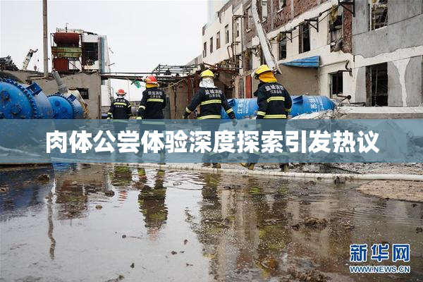 肉体公尝体验深度探索引发热议