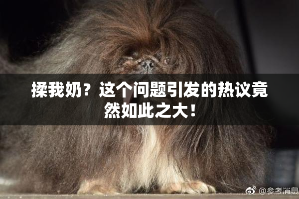 揉我奶？这个问题引发的热议竟然如此之大！