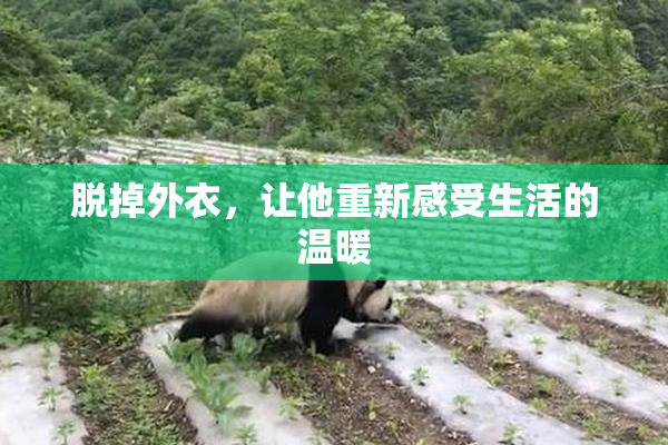 脱掉外衣，让他重新感受生活的温暖