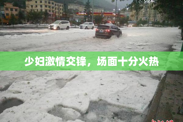 少妇激情交锋，场面十分火热