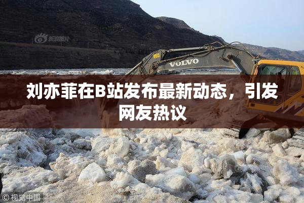 刘亦菲在B站发布最新动态，引发网友热议