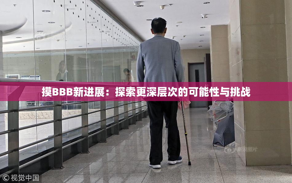 摸BBB新进展：探索更深层次的可能性与挑战