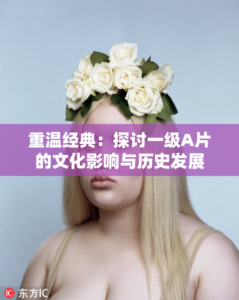 重温经典：探讨一级A片的文化影响与历史发展