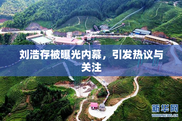 刘浩存被曝光内幕，引发热议与关注