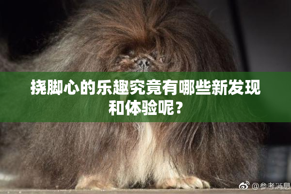 挠脚心的乐趣究竟有哪些新发现和体验呢？