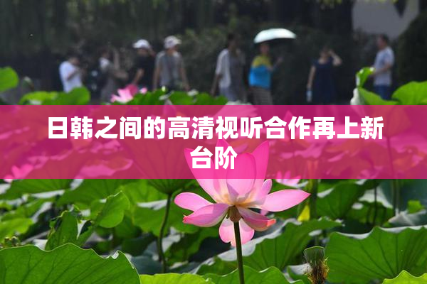 日韩之间的高清视听合作再上新台阶