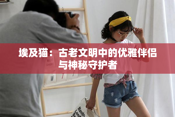 埃及猫：古老文明中的优雅伴侣与神秘守护者