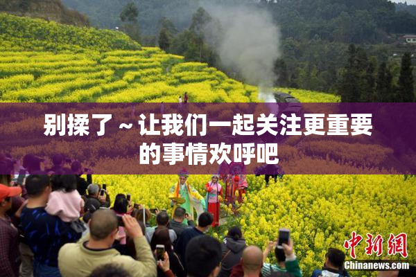 别揉了～让我们一起关注更重要的事情欢呼吧
