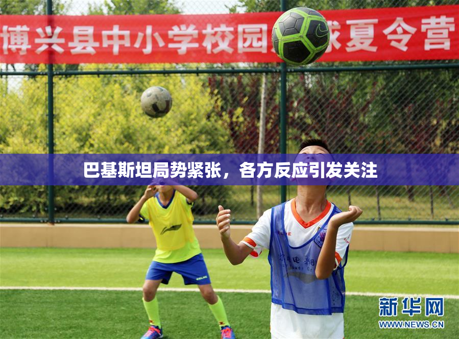 巴基斯坦局势紧张，各方反应引发关注