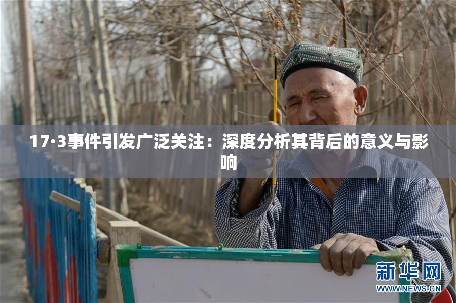 17·3事件引发广泛关注：深度分析其背后的意义与影响