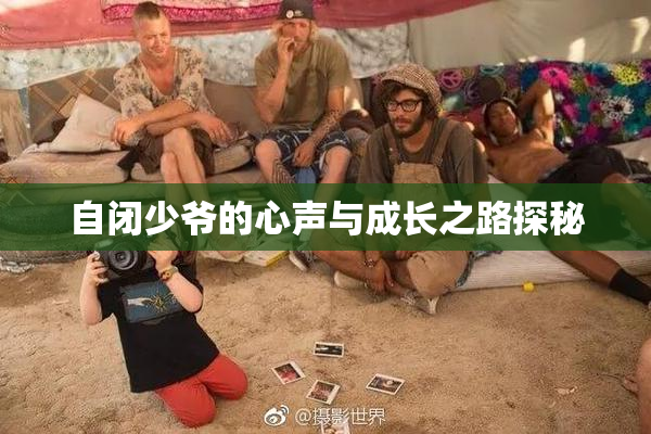 自闭少爷的心声与成长之路探秘