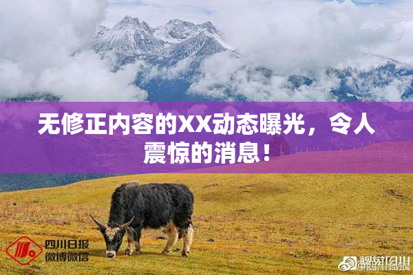 无修正内容的XX动态曝光，令人震惊的消息！