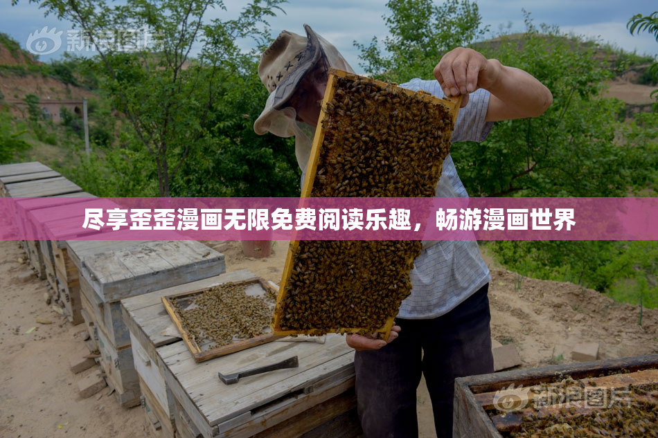 尽享歪歪漫画无限免费阅读乐趣，畅游漫画世界